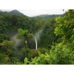 Classic Costa Rica 2023